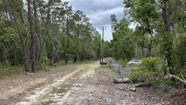 Sandy lane along a chain-link fence and utility line, with tall pines on the left and a pole at the far end